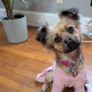 Meet your Posher, Michele